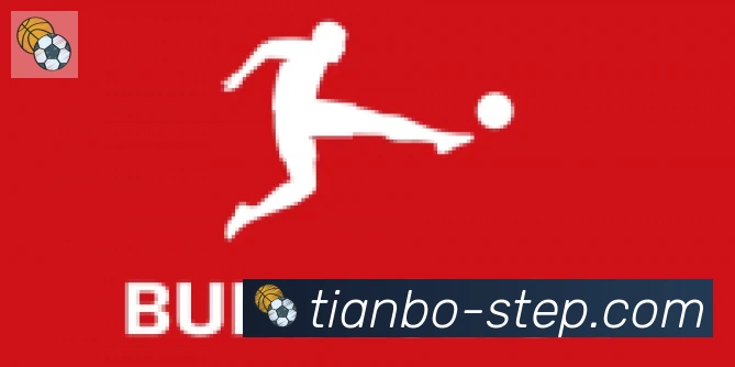 天博官网合作伙伴