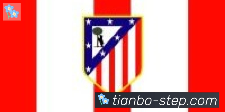 天博官网合作伙伴